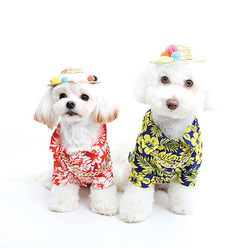 이츠독 강아지여름옷 / 와이키키 비치 셔츠