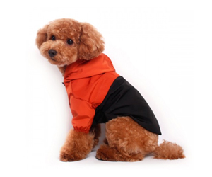 강아지옷 브릭브릭 방수 아웃도어 바람막이 다홍&amp;블랙