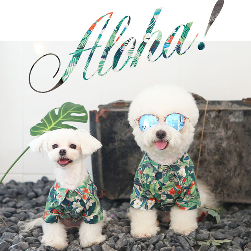 이츠독 강아지여름옷 / 알로하 하와이안 셔츠