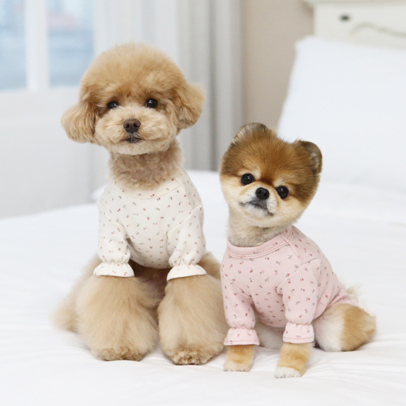 강아지봄옷 이츠독 베이비플라워티셔츠